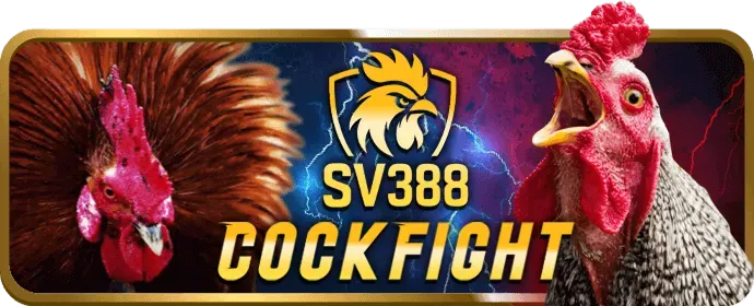 Trò Chơi Bàn TOT88 WIN